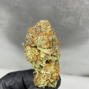 Buy Sour Joker Strain