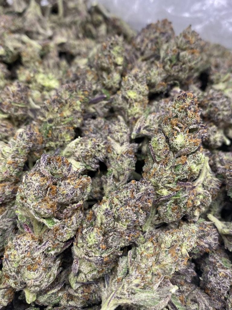 Purple Skittles Strain | Best grand daddy purple skittles